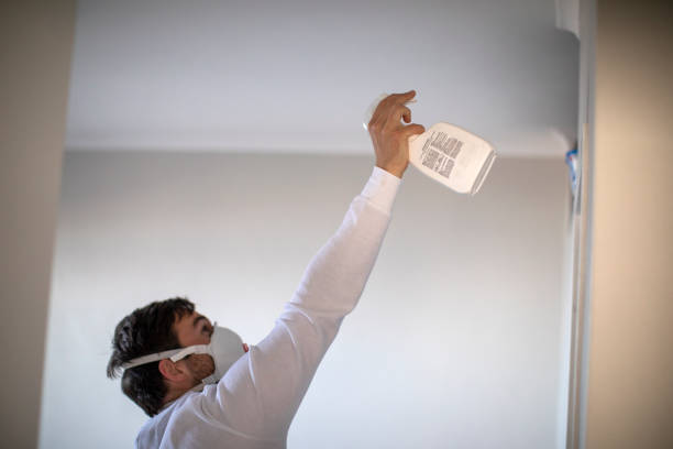 Best Toxic Mold Removal  in Hoosick Falls, NY