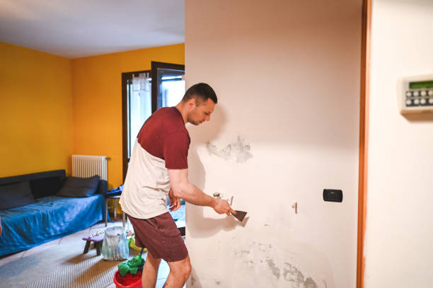 Best Home Mold Removal  in Hoosick Falls, NY